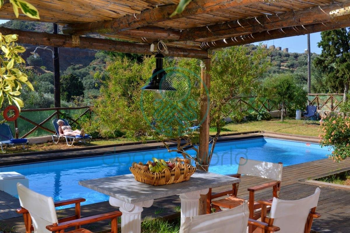 property-img
