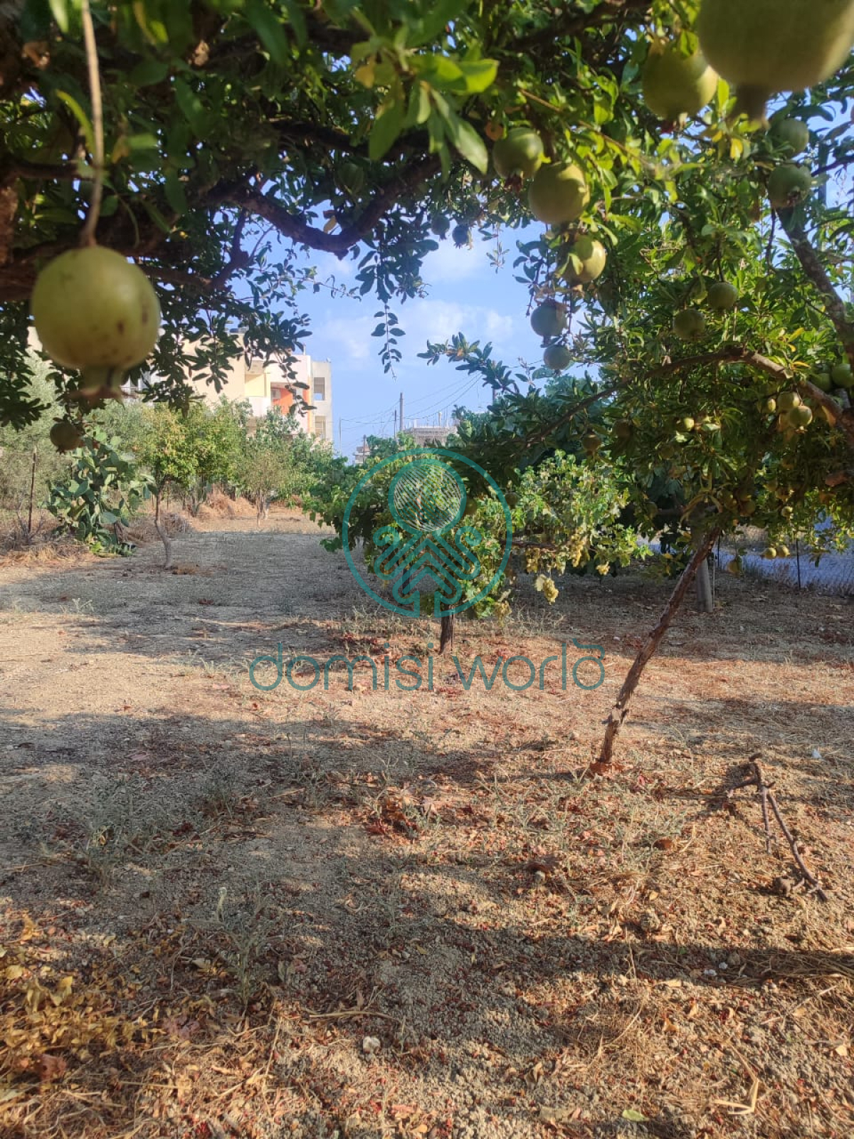 property-img